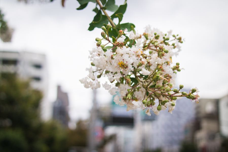 Tokyo, Japan