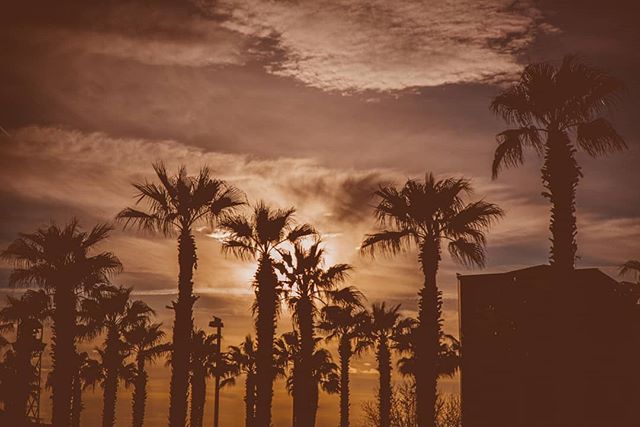 Sun going down near the Barcelona waterfront. We ran to make the…