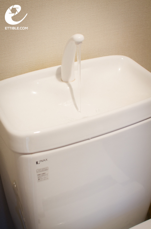 Buy Japan Toilet 19