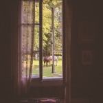 Horses through a window of a historic manor house outside of Warsaw, Poland.