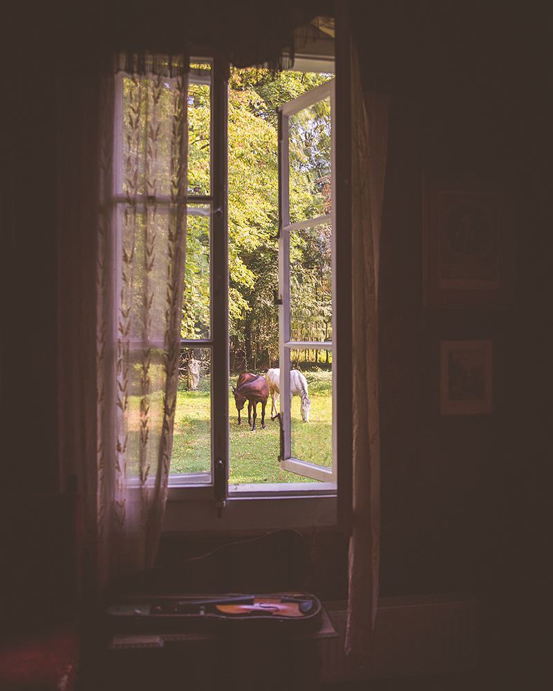 Horses through a window of a historic manor house outside of Warsaw, Poland.
