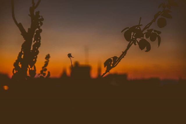 Last sunset from Madrid! Onto Barcelona.