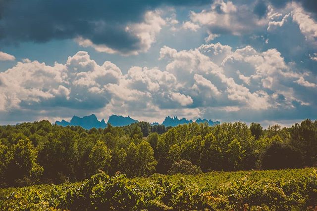 In the Spanish countryside near Barcelona.