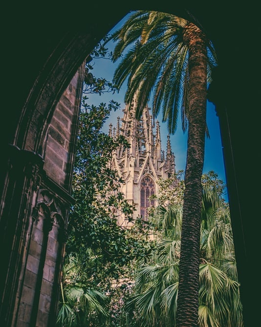 Last one from the Barcelona Cathedral. Palm trees just make everything better.