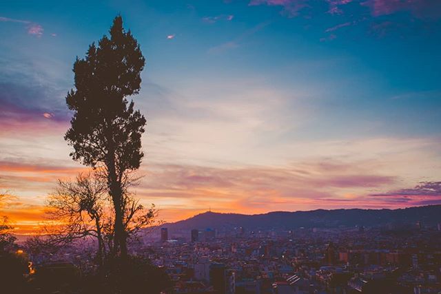 Overlooking Barcelona from Montjuïc. We didn’t make it nearly all of the…