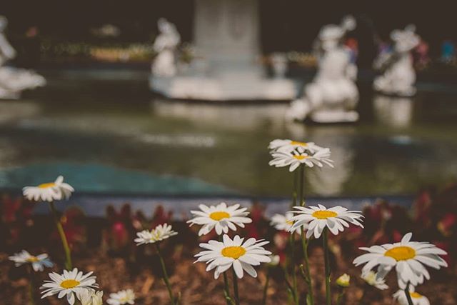 Forsyth Park, Savannah
