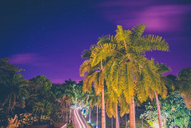 Night falling over @jeweldunnsriverjamaica from our balcony.